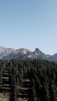 A view of a forest with mountains in the background video