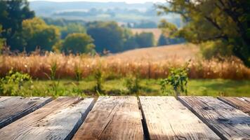 A wooden table sitting in the middle of a grassy field video