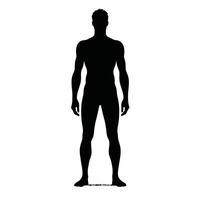 A silhouette of a man standing in front of a white background vector