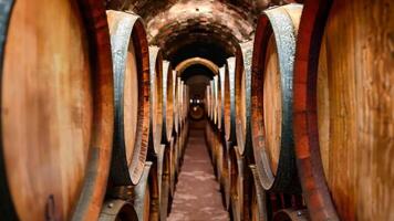 A row of wooden wine barrels lined up in a cellar video