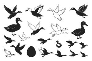 Flying Ducks Bundle, Duck File, Mallard Silhouette File, Duck Hunting, vector