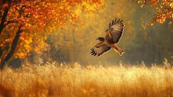 A bird flying over a field of grass photo