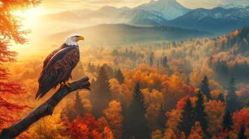 An eagle sits on a branch in the middle of a forest photo
