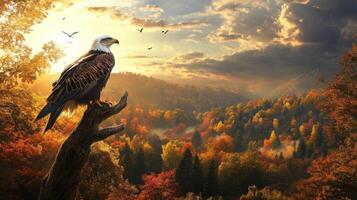 An eagle is perched on a tree branch in the middle of a forest photo