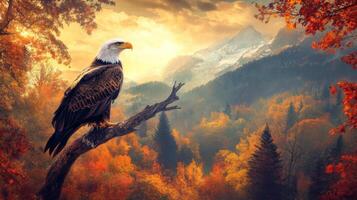 An eagle sits on a branch in front of a mountain and autumn trees photo