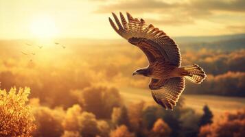A large bird flying over a forest at sunset photo