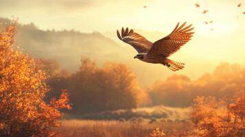 An eagle flying over a field with autumn leaves photo