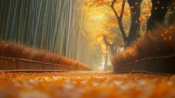 Pathway Through Golden Autumn Leaves and Bamboo Forest photo