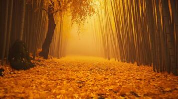 Sunlit Path Through a Golden Bamboo Forest with Fallen Leaves photo