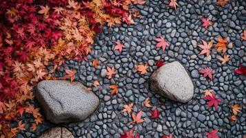 Red and Orange Maple Leaves on a Pebble Path photo