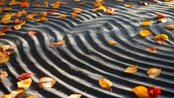 Autumn Leaves Scattered on Rippled Sand photo