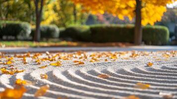White Sand with Raked Patterns and Fallen Autumn Leaves photo