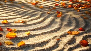 Fallen Autumn Leaves on Rippled Sand photo