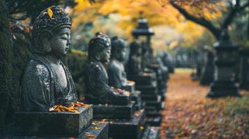 Stone Buddha Statues in a Japanese Garden with Autumn Leaves photo