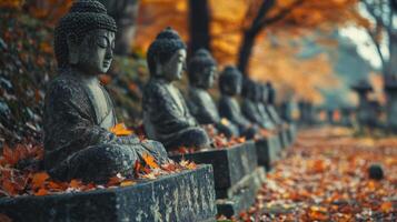 Stone Buddha Statues Amidst Autumn Foliage photo