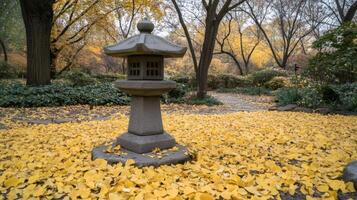 Stone Lantern in a Ginkgo Tree Garden photo