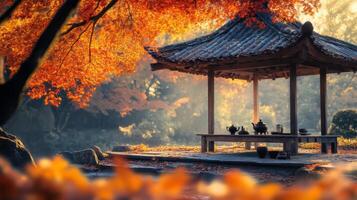 Autumnal Tea Ceremony in a Traditional Japanese Pavilion photo