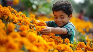 A Young Boy Surrounded by Bright Yellow Marigolds photo