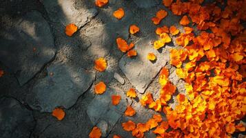 Scattered Orange Flower Petals on a Stone Path photo