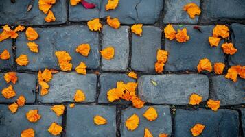 Orange Flower Petals Scattered on Cobblestone Path photo