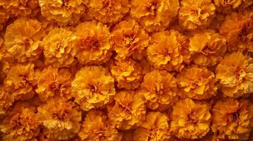 Close-up of a cluster of vibrant orange marigold flowers photo