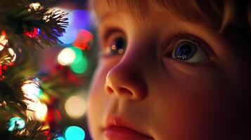 Close-up of a Child's Eye Reflecting Christmas Lights photo