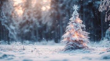 A Snow-Covered Christmas Tree Glowing with Lights in a Snowy Forest photo