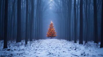 A Christmas Tree Lit in a Foggy Winter Forest photo