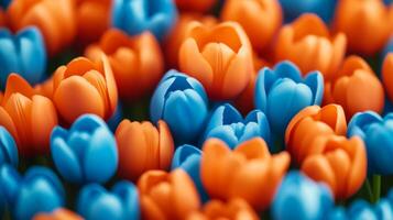 Vibrant orange and blue background with faint tulip patterns symbolizing Kings Day in the Netherlands festive Dutch celebration cheerful and colorful tones photo