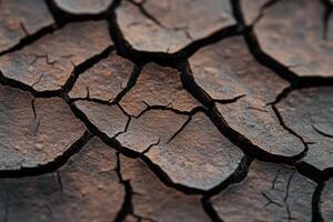 Closeup of dry cracked skin texture detailed with flaky patches and rough surface highlighting dehydration photo