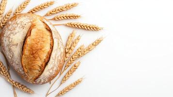 Bread and wheat on white background top view photo