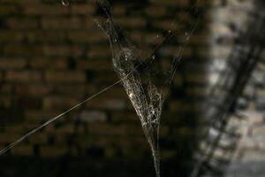 Close up of a cobweb in an abandoned brick building, depicting neglect and perfect for Halloween themed imagery photo