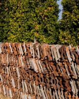 Stacked tiles against lush greenery, representing sustainable building materials and eco friendly construction concepts photo