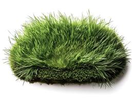 flat lay, top of views of patch of grass isolated on white background photo