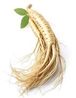 ginseng isolated on white background photo