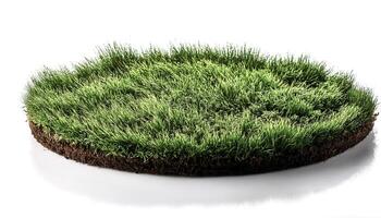 flat lay, top of views of patch of grass isolated on white background photo