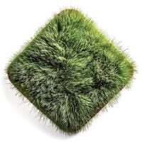 flat lay, top of views of patch of grass isolated on white background photo