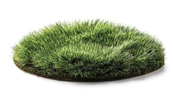 flat lay, top of views of patch of grass isolated on white background photo