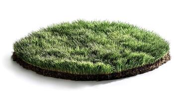 flat lay, top of views of patch of grass isolated on white background photo