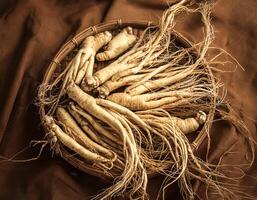 Lots of ginseng. ginseng Background Concept photo