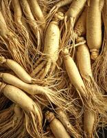 Lots of ginseng. ginseng Background Concept photo