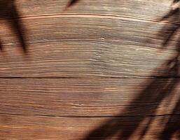 top view of soft brown table with high resolution texture and palm leafs shadows, summer table background with empty space for text or design, soft cozy sunny table backdrop, wooden texture seamless photo