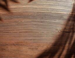 top view of soft brown table with high resolution texture and palm leafs shadows, summer table background with empty space for text or design, soft cozy sunny table backdrop, wooden texture seamless photo
