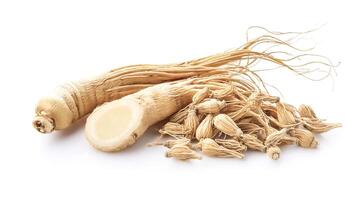 ginseng isolated on white background photo
