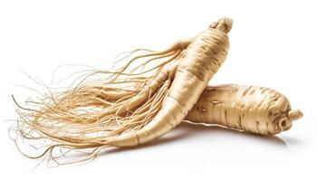 ginseng isolated on white background photo