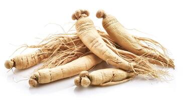ginseng isolated on white background photo