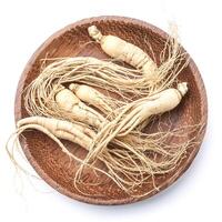 ginseng isolated on white background photo