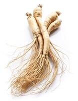 ginseng isolated on white background photo