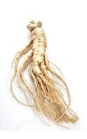 ginseng isolated on white background photo