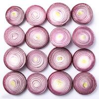 red onion slices. pattern texture background. isolated on white background photo